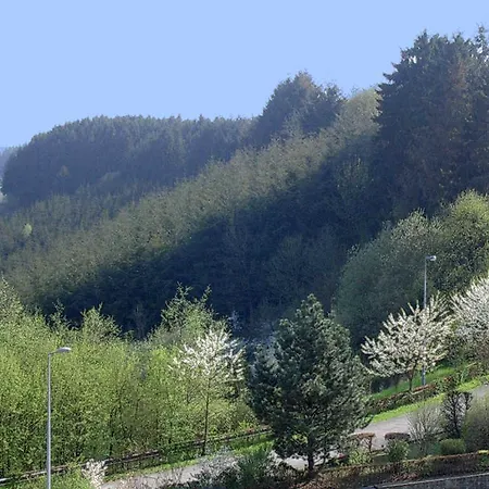 Hotel St Hubert Reuler